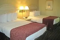 The Wow Resort